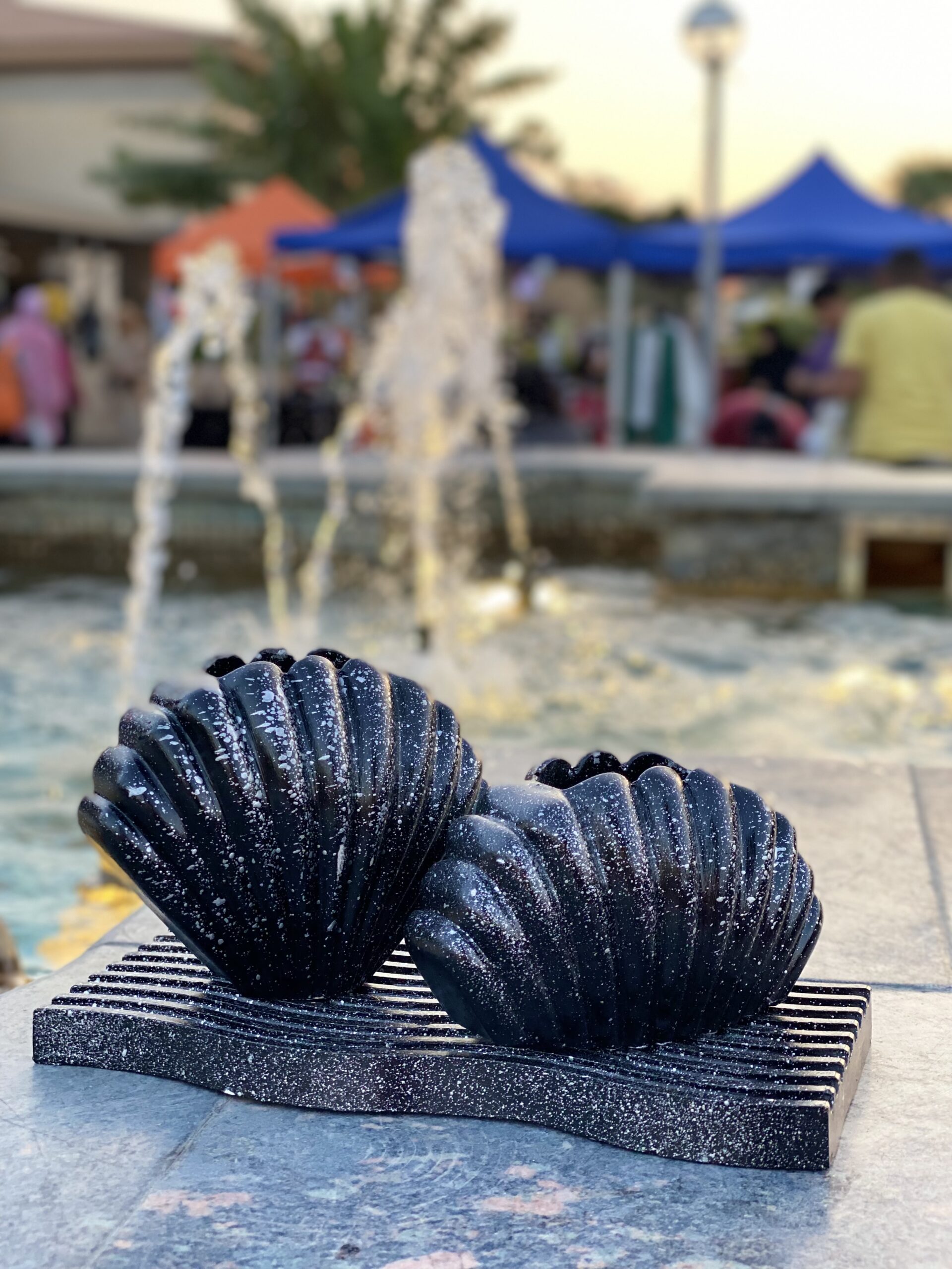 IMG_5370 Shell Set - الصورة 1