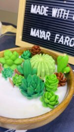 ⁦Cactus wood Jar⁩ - الصورة ⁦7⁩